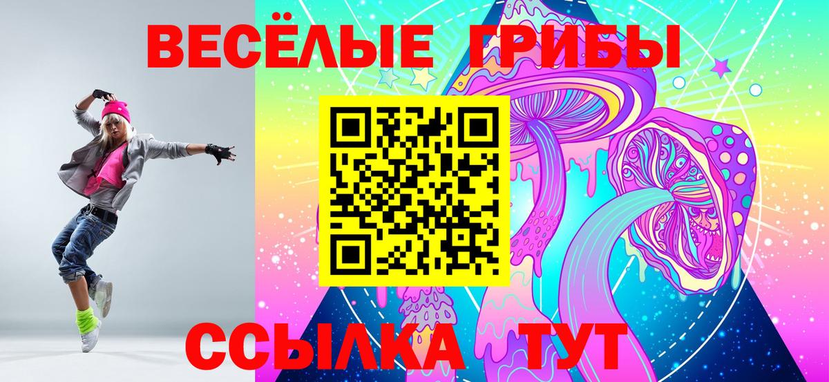 Галлюциногенные грибы Cubensis  Вход с VPN  Владивосток  Псилоцибиновые грибы GOLDEN TEACHER 